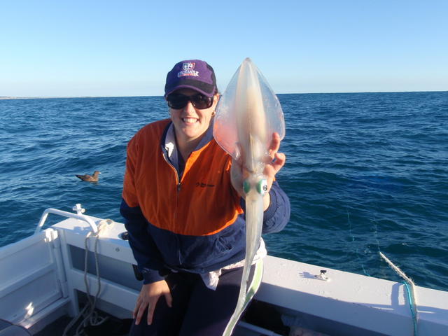 Very quick Bday fish Very quick Bday fish